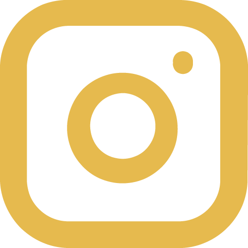 Instagram Icon