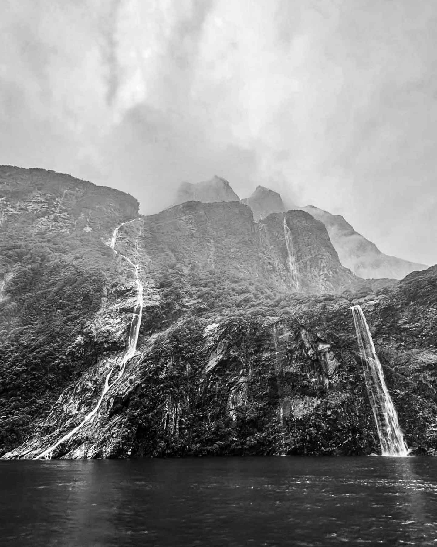 photos of NZ on display